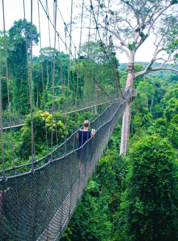 photo-1562490654-131366a15276