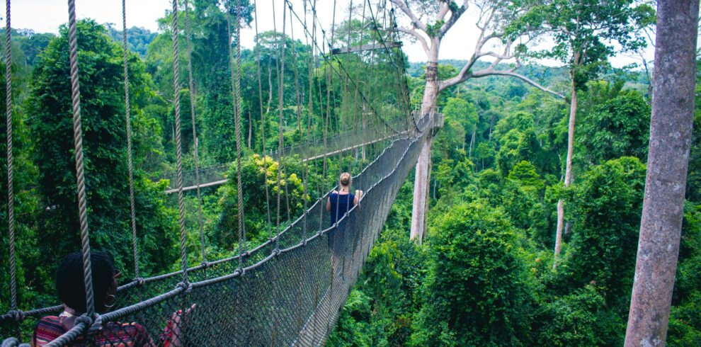 photo-1562490654-131366a15276