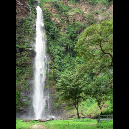 Wli_Lower_Fall 4 e1769083820292 1